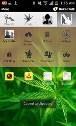 Kakao 420 Theme截图3