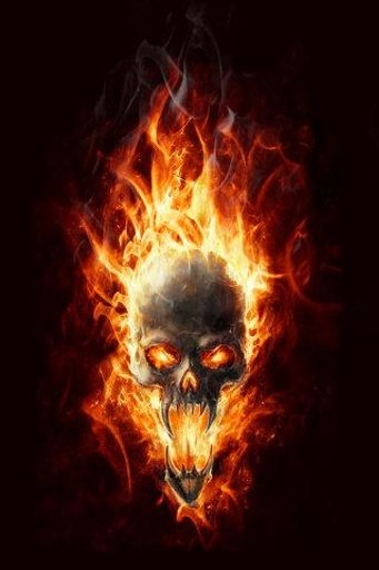 Fire Skull Live Wallpaper截图1