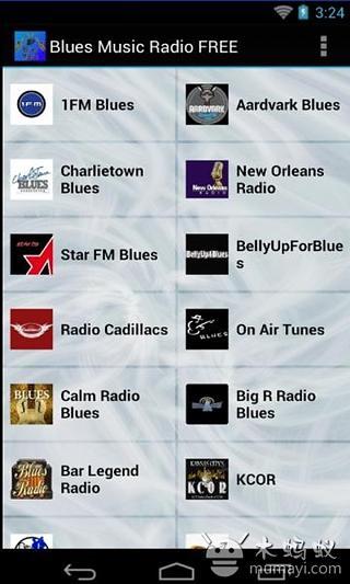 Blues Music Radio FREE截图5