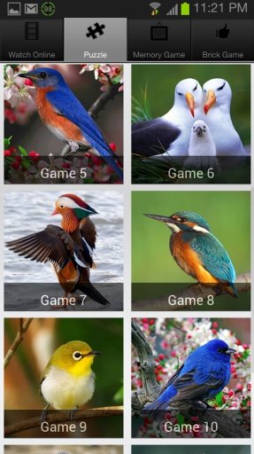 Save My Birds Kids Game截图6