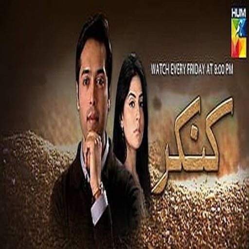 Hum TV Channel截图4