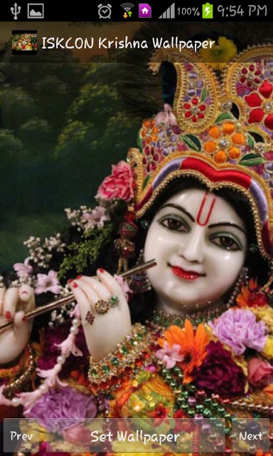 ISKCON Krishna Wallpapers HD截图2