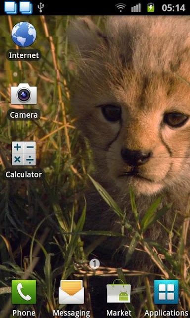 Baby Cheetah Live Wallpaper截图2