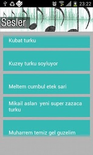 T&uuml;rk&uuml; Sepeti-70 Şarkı截图9