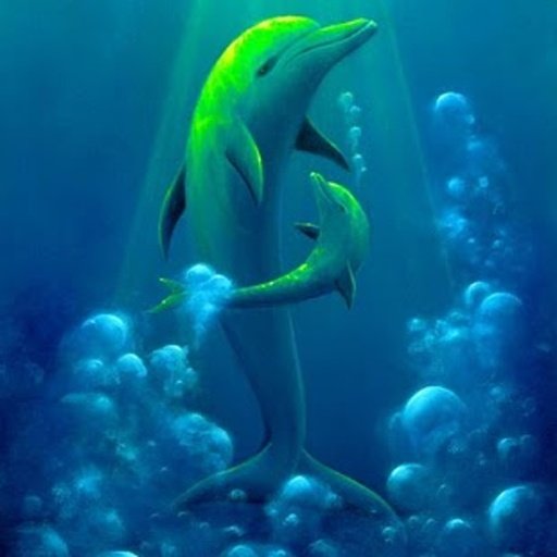 Sweet Dolphins Live Wallpaper截图2