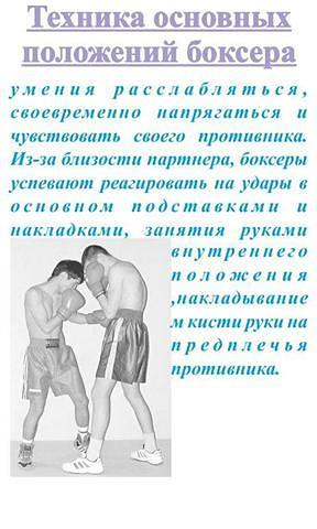 Обучения боксу Том 3截图2