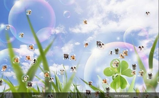 Bubble Free Live Wallpaper截图5