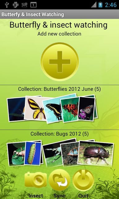 Butterfly &amp; Insect Collector截图5