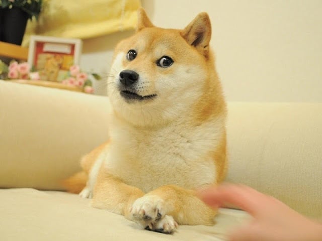 Doge Meme Creator截图7