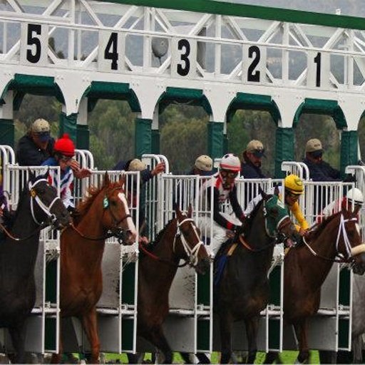 Horse Racing Frenzy截图7