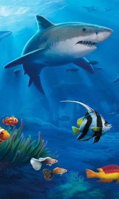 Ocean Aquarium 3D Free LWP截图1