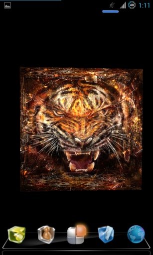 Abstract Tiger Live Wallpaper截图3