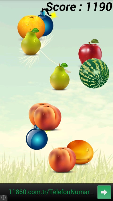 Fruit Catch截图6