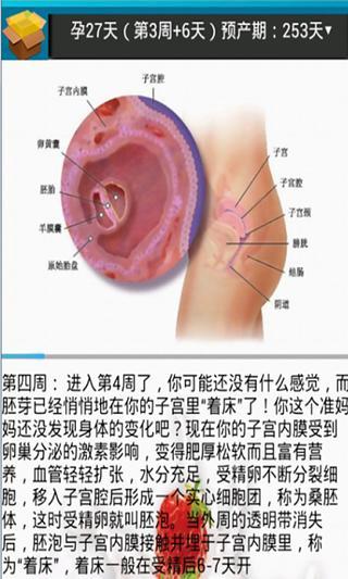 孕期全知道截图1