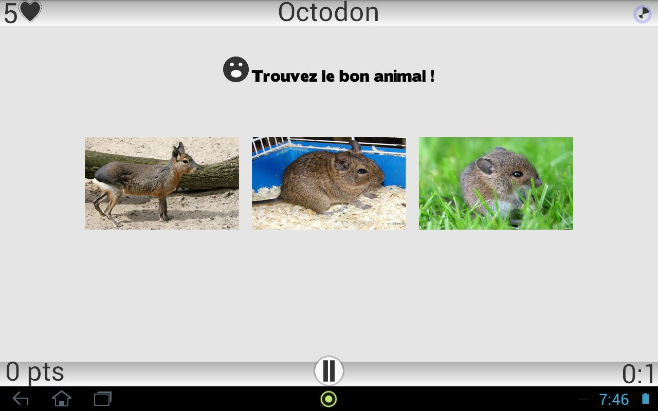 Animaux Quiz截图6