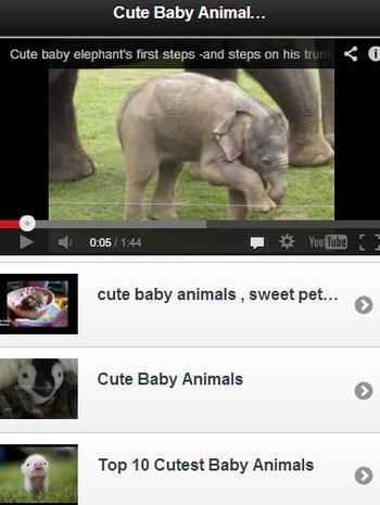 Cute Baby Animal Videos截图3