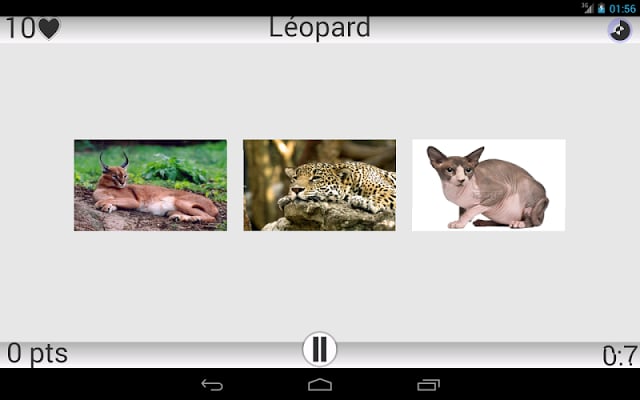 Animaux Quiz截图2