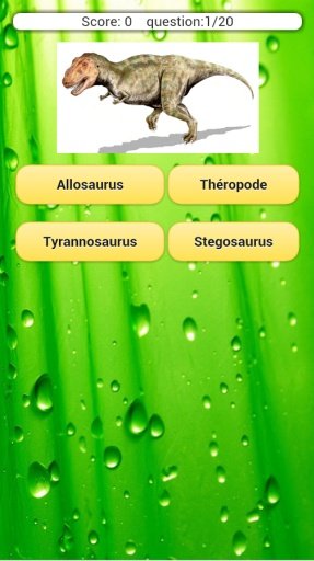 Quiz: Les Dinosaures截图5