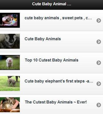 Cute Baby Animal Videos截图2