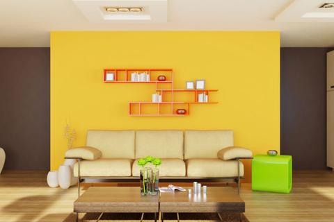 Accent Wall Ideas截图1