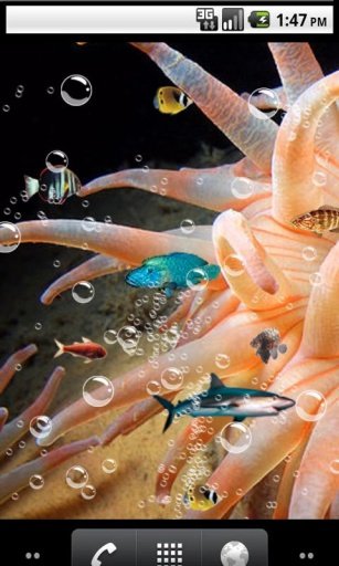 Nature aquarium Live Wallpaper截图4