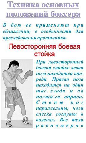 Обучения боксу Том 3截图5