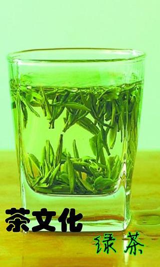 聚焦绿茶文化截图2