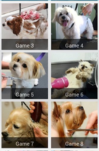 Dog &amp; Cat Spa Salon截图6