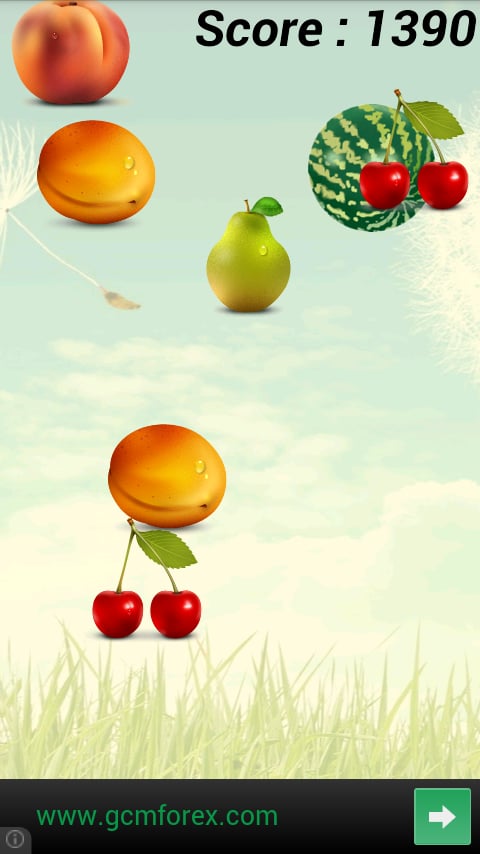 Fruit Catch截图1