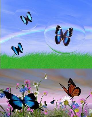 Butterfly Collection Wallpaper截图4