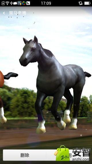 Horses 3D Live Wallpaper截图4