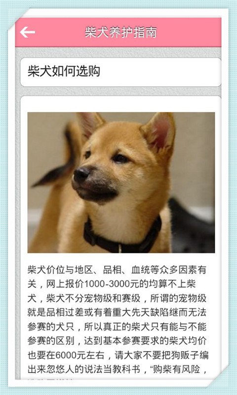 柴犬养护指南截图1