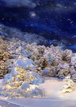 3D winter live wallpaper!截图