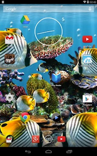 Koi Fish LWP截图3