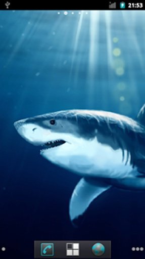 Shark HQ Live Wallpaper截图2