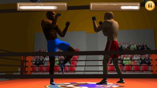 Wrestling Fight 3D截图6