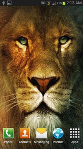 Lion The King Live Wallpaper截图8