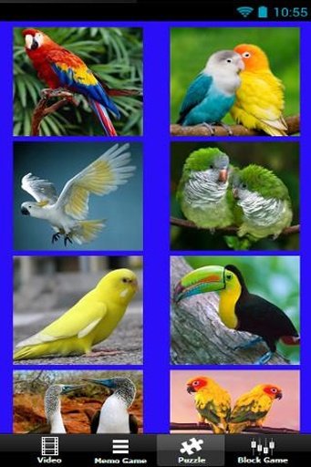 Beautiful Birds截图2