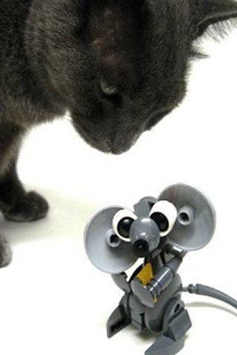 Cute Talking Cat and mouse截图4