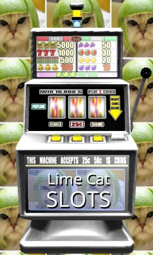 3D Lime Cat Slots - Free截图3