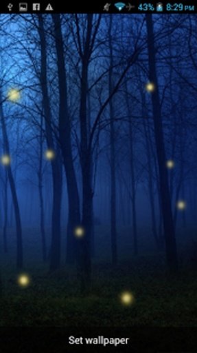 Fireflies Live Wallpaper 2015截图9