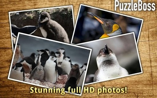 Penguin Jigsaw Puzzles FREE截图2