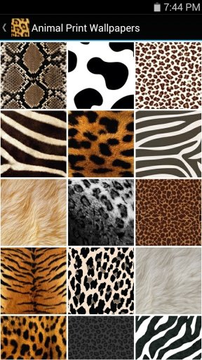 Animal Print Wallpapers截图2