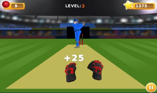 TapCatch Cricket game截图4