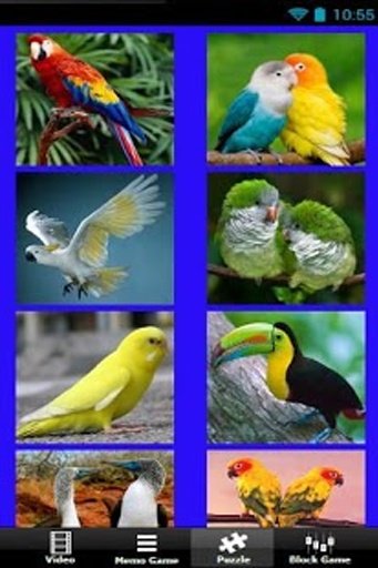 Beautiful Birds截图6