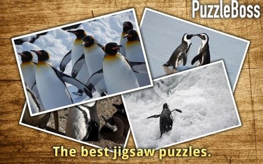 Penguin Jigsaw Puzzles FREE截图4