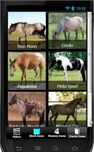 Free Best Kids Games - Horses截图5