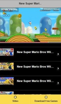 New Super Mario Bros Wii Guide截图