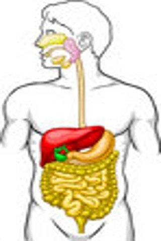 Leaky Gut Syndrome截图2