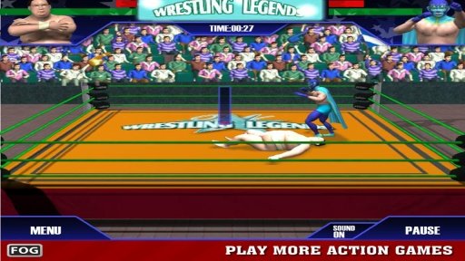 Wrestling Legends 3D截图4